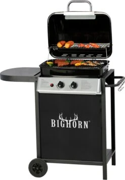 Bighorn Gasbarbecue En Grill – 2 Branders – Zwart -Barbecue Benodigdheden Winkel 838x1200